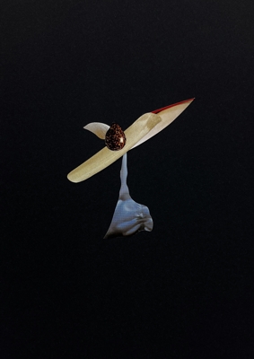 work_image_Object Series - 02_Nonsenso 